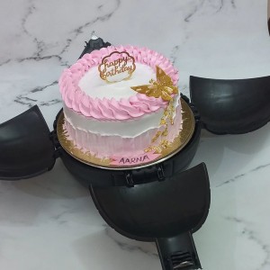Butterfly Bomb Cake