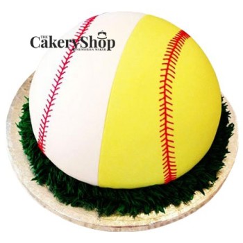 Cricket Lover Cake