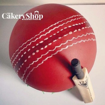 Cricket Theme Pinata Cake