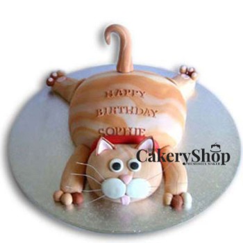 Kitty lady Cake