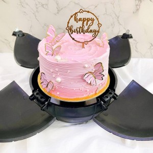 Pink Butterfly Bomb Cake