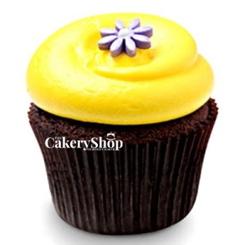 Sunshine Chocolate Cupcakes